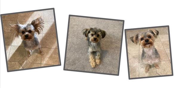 /Images/uploads/Congregation Beth Emeth/bethemeth/entries/17598thumb.jpg